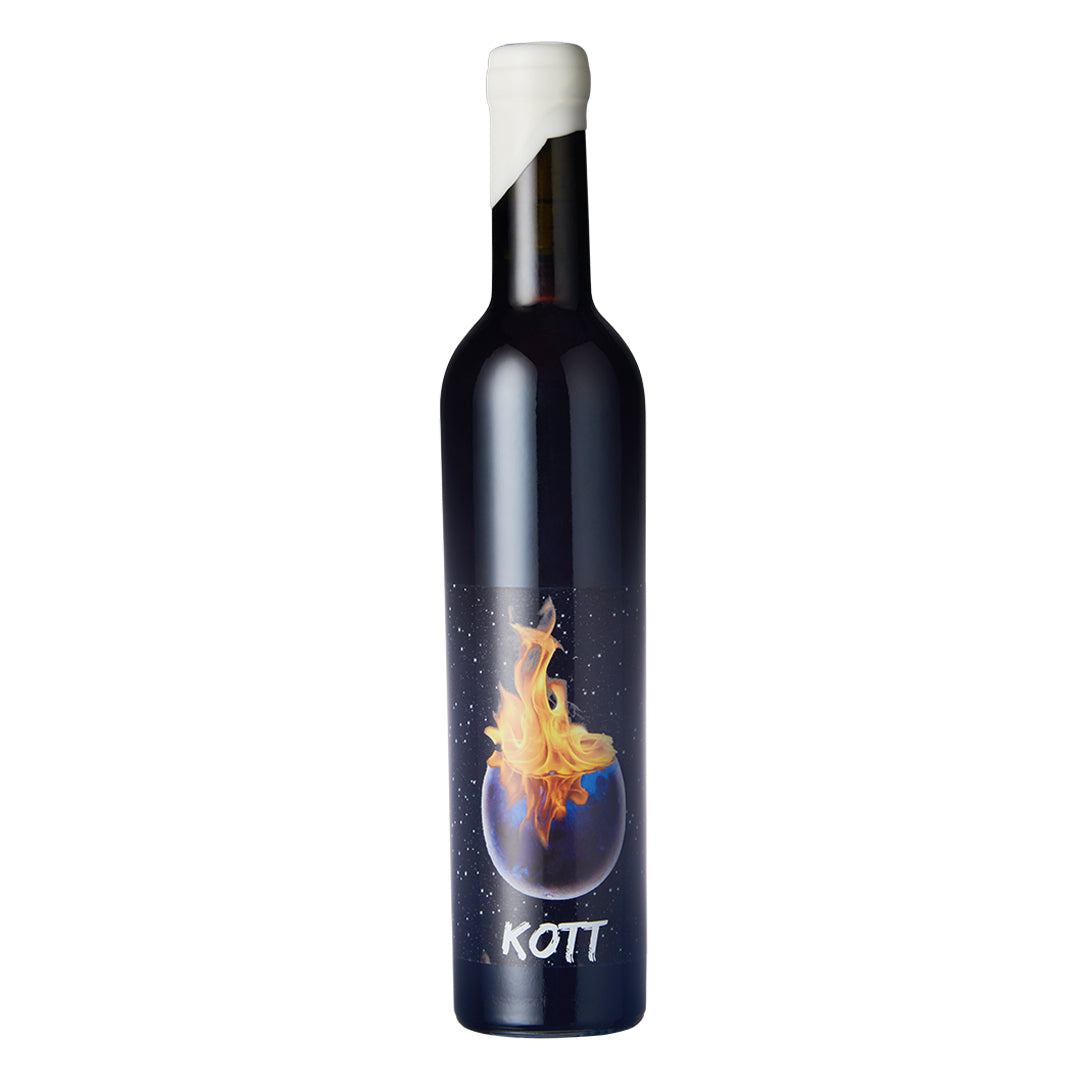 Kott 2019