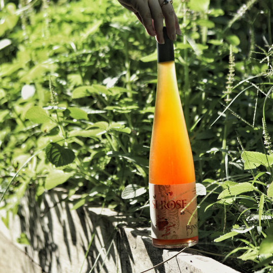 Orange Wine - Natural, Organic &amp; Biodynamic